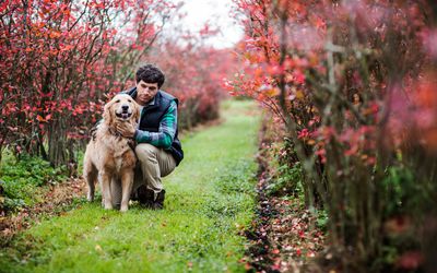 一名男子在外面抚摸他的治疗犬
