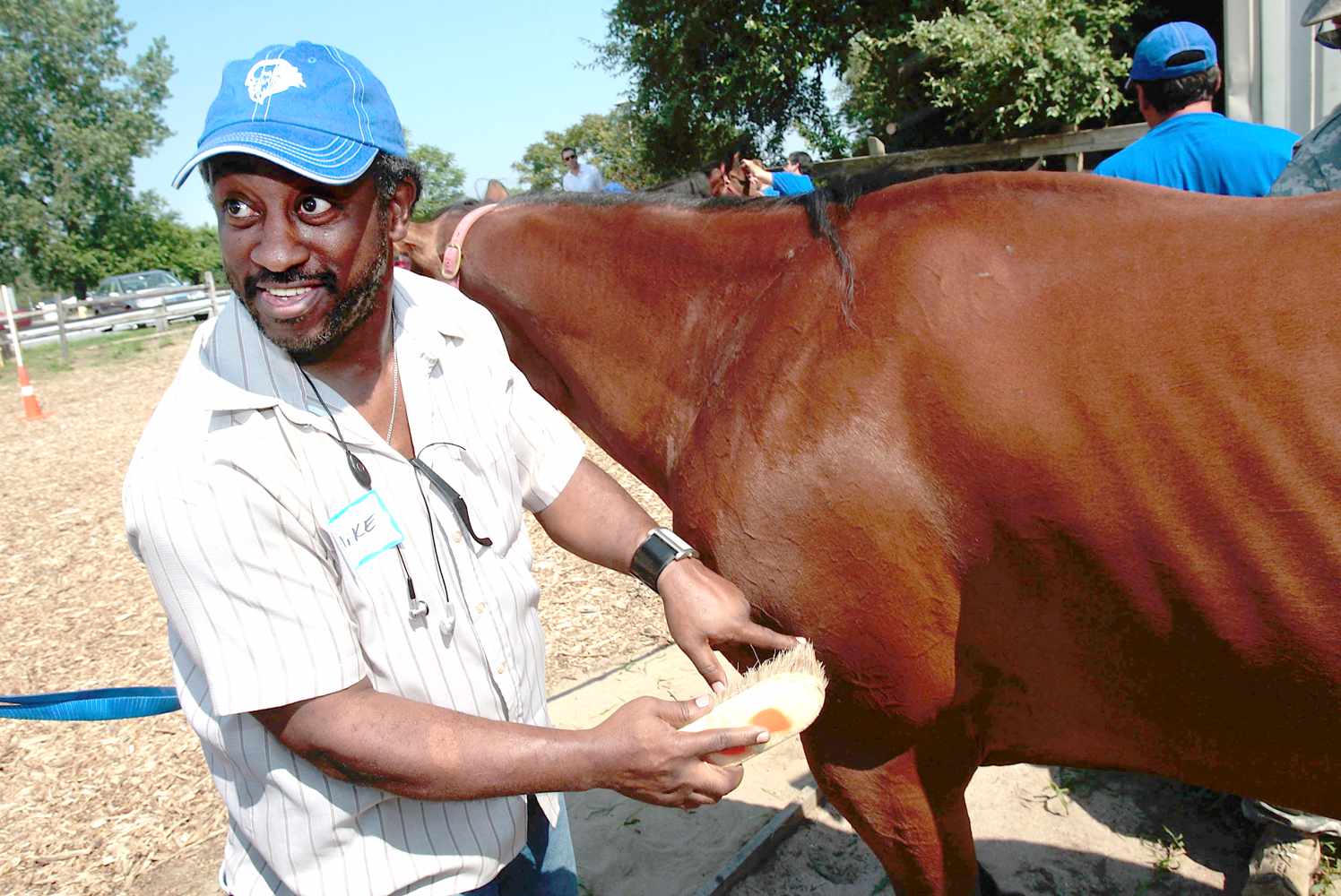 man grooming horse