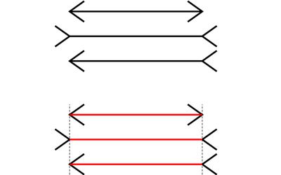 Muller Lyer幻觉的例证