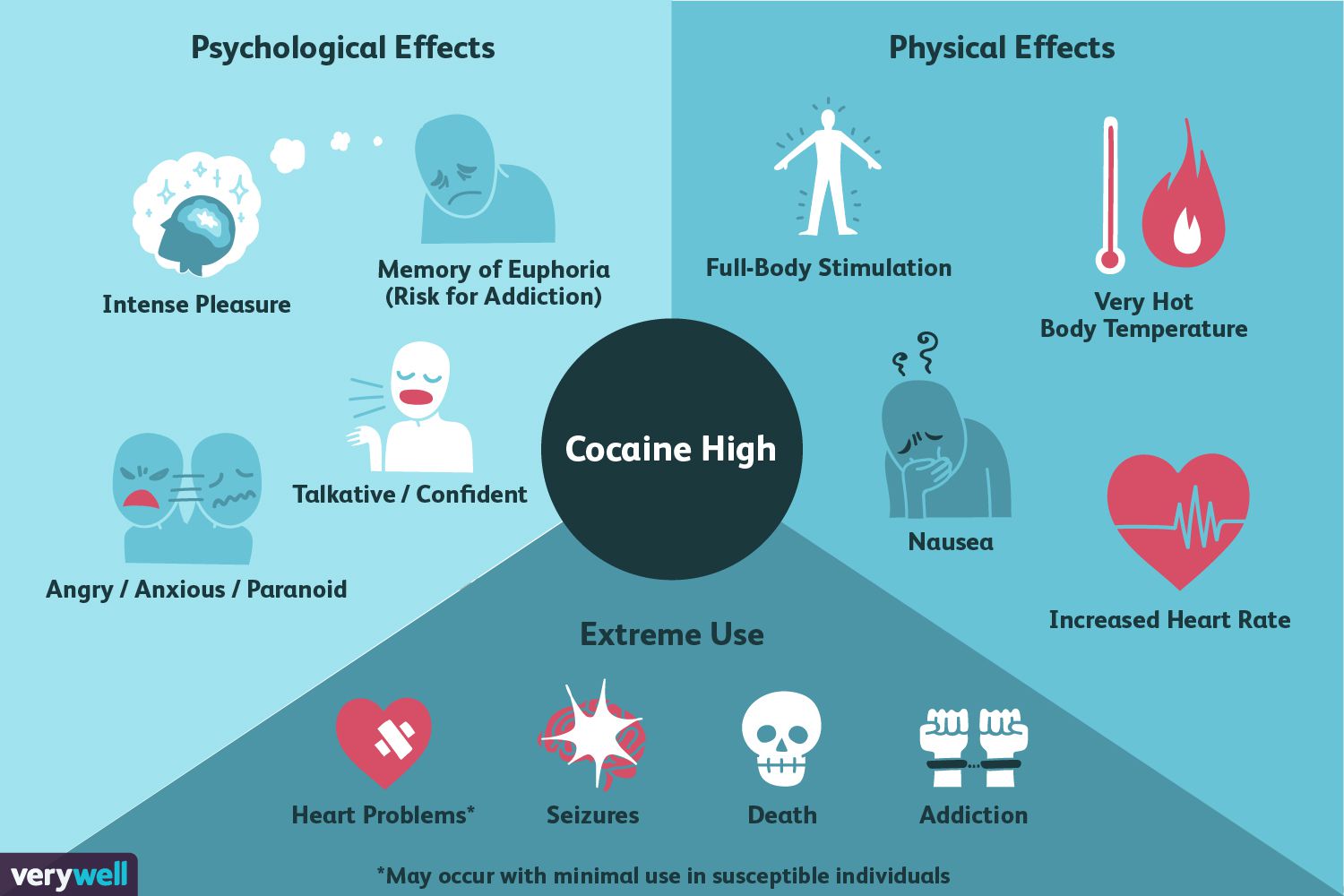 Effects of Cocaine High