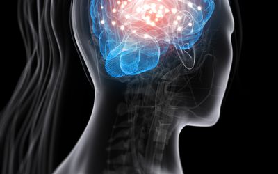 大脑活动,概念电脑绘图