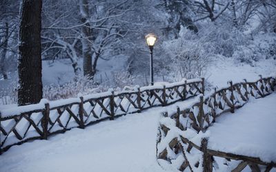 中央公园在冬天