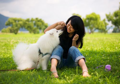 Woman playing with her dog in the grass