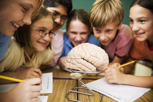 Exploring the human mind