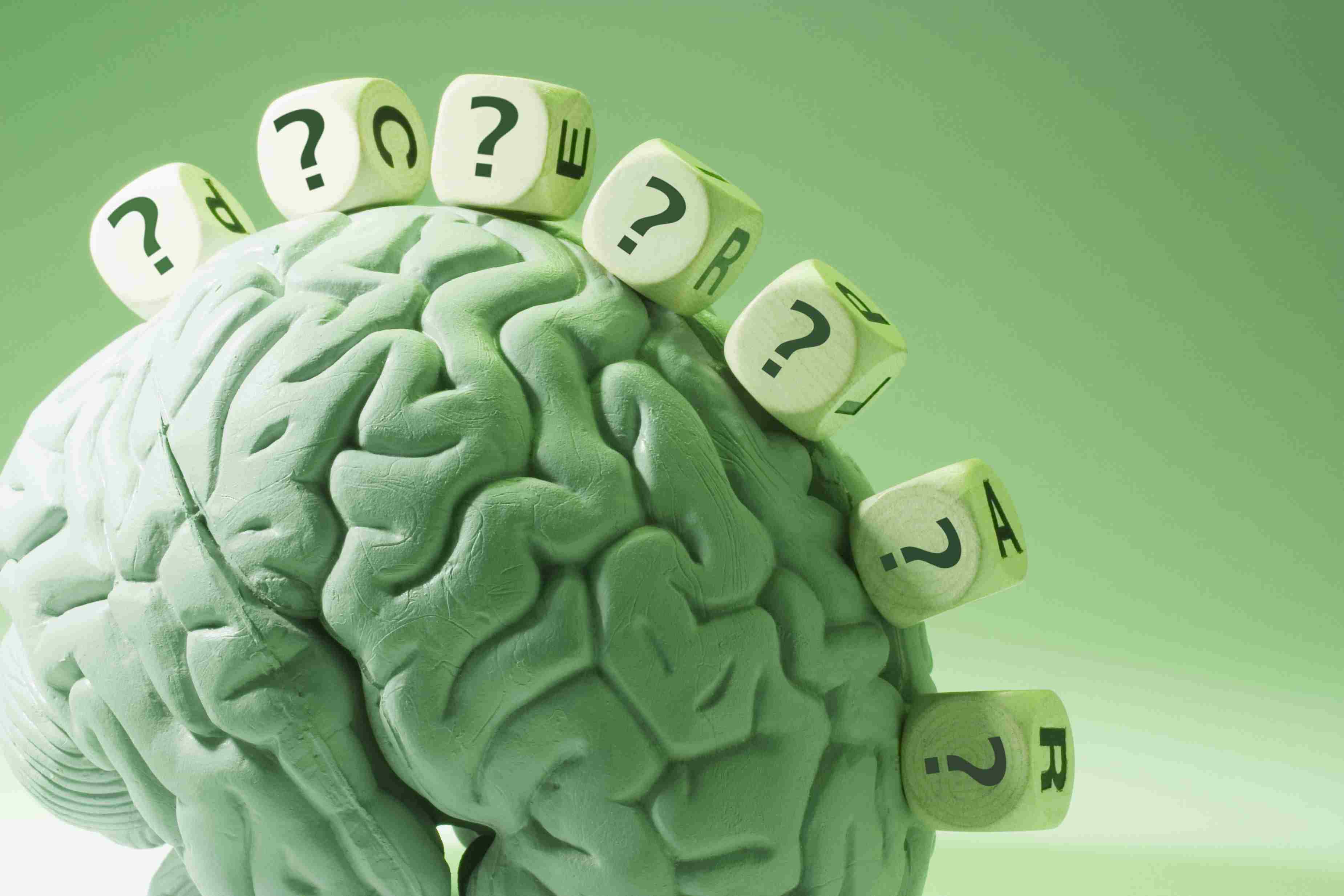 模型的人类大脑骰子标有问号