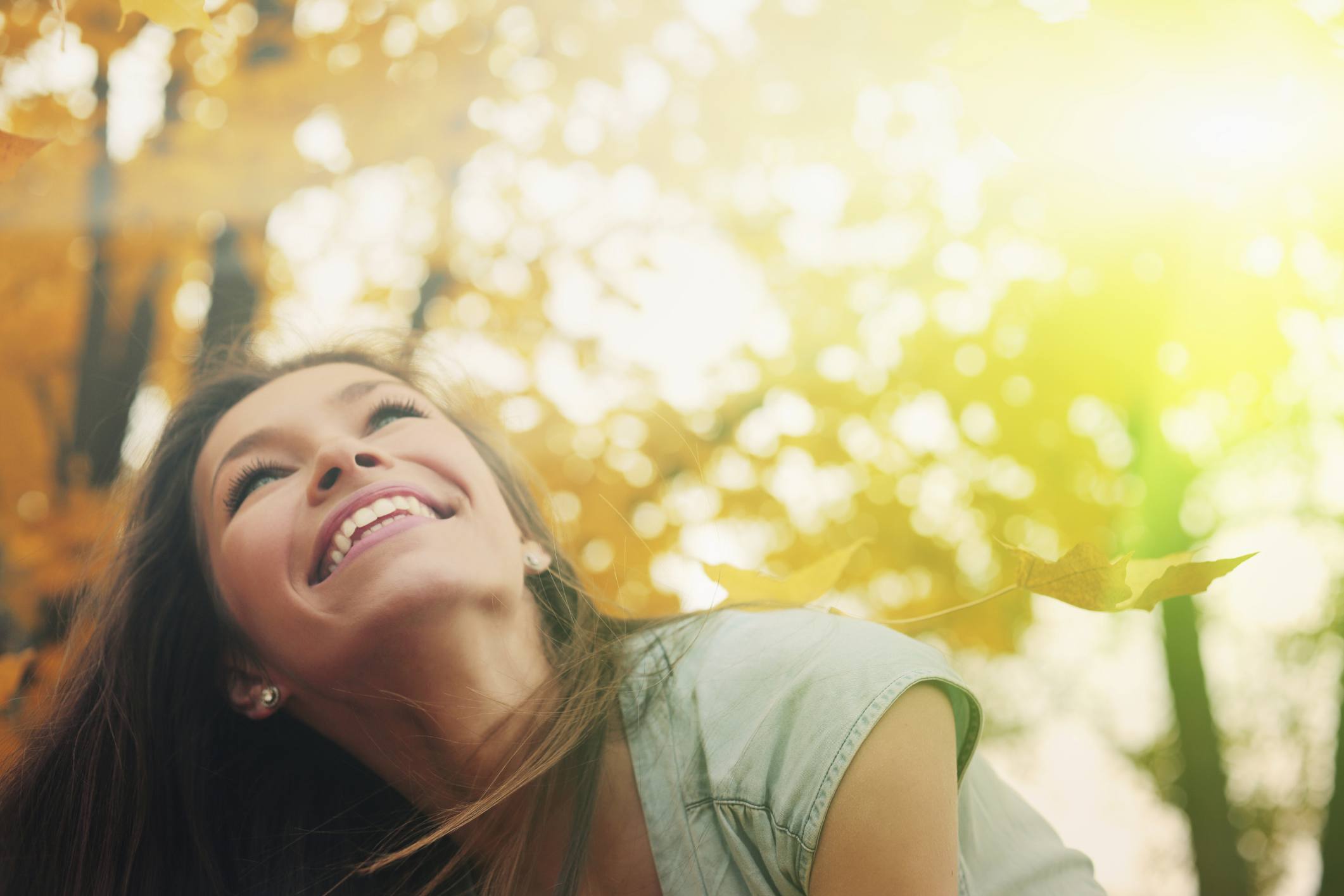 秋天的树木幸福