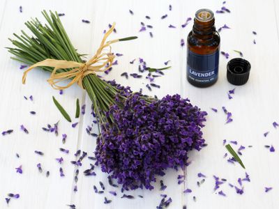 lavender oil