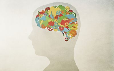 一个有创造力的大脑