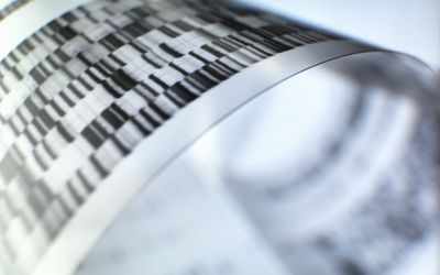 Close up of autoradiograph used in researching genetics