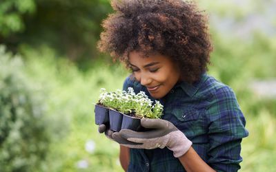 嗅到鲜花她即将植物的妇女