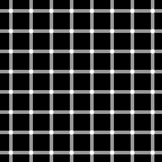 赫尔曼网格错觉