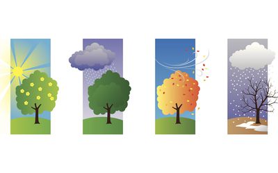 戒烟的第一年是至关重要的