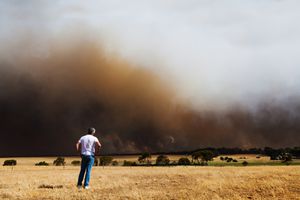 一个男人看着一团黑色的野火烟雾