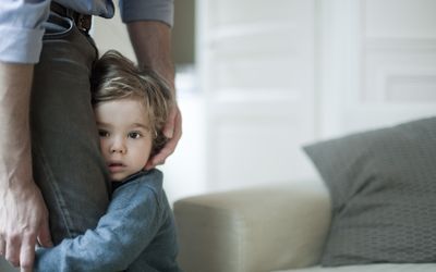 害羞的学步男孩抱进爸爸的腿'