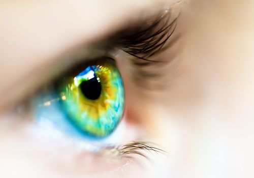 close up of an eye