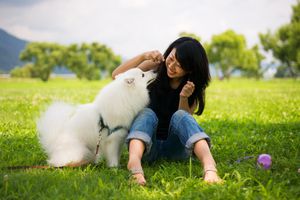 一个女人和她的狗在草地上玩耍