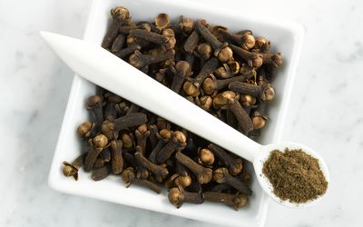 整个丁香和地面粉丁香