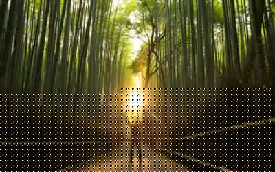 每天散步有助于促进健康，减少社交焦虑。