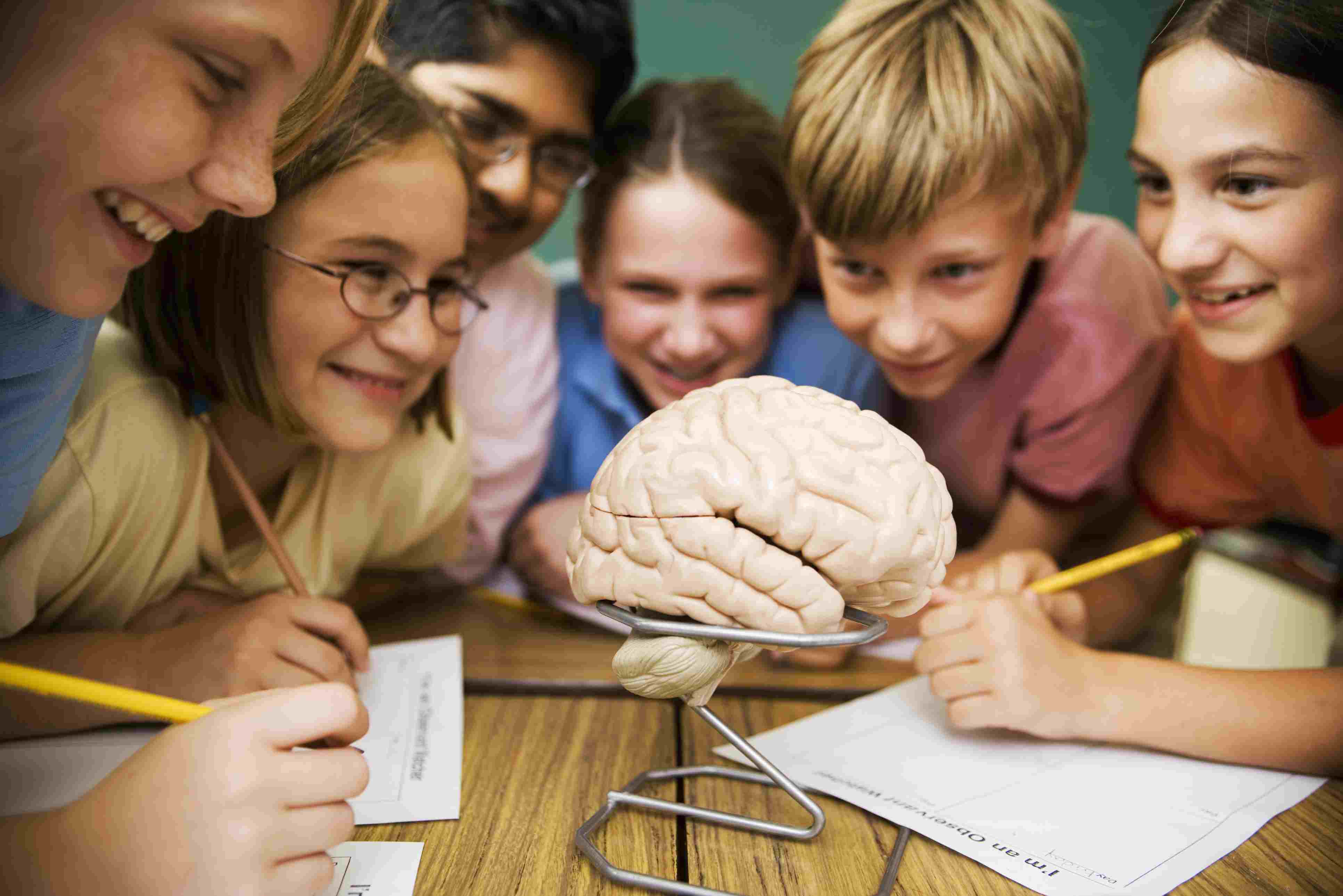 Exploring the human mind