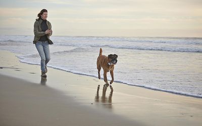 海滩的妇女与狗
