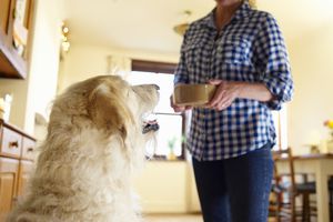 Spontaneous recovery of a response