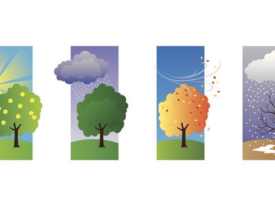 戒烟的第一年至关重要