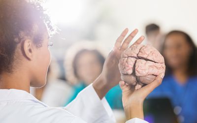 女医学院教授与人脑模特