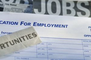 Psychology career options