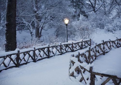 白雪覆盖的树木和桥梁