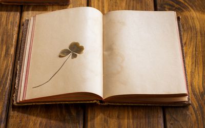 运气 -  vladan-milisavljevic.jpg