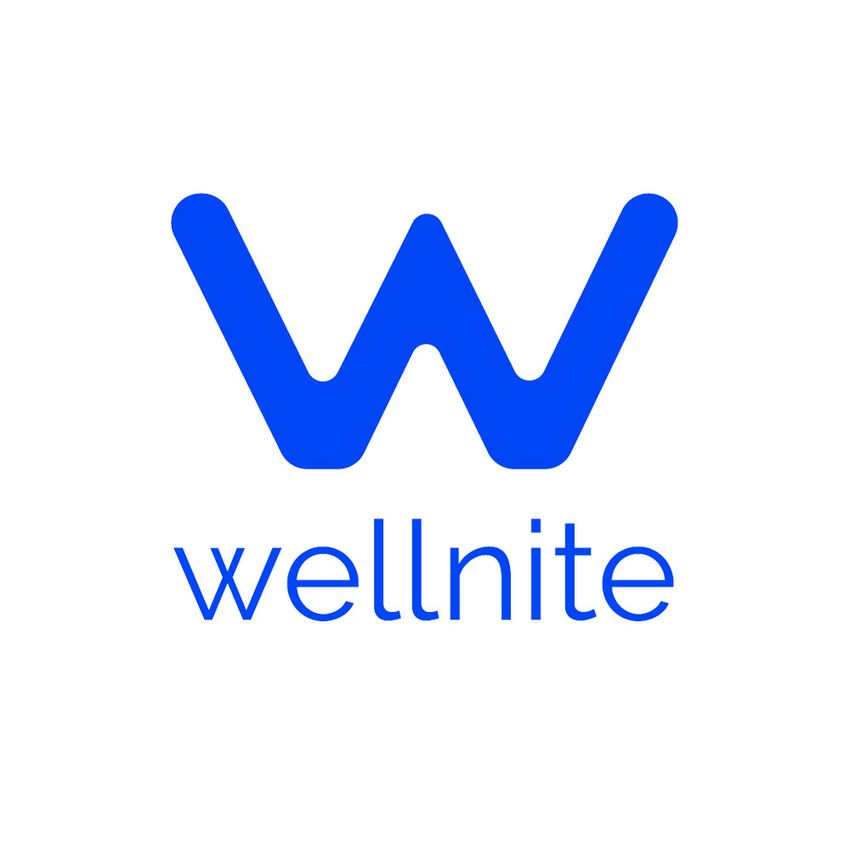 Wellnite审查