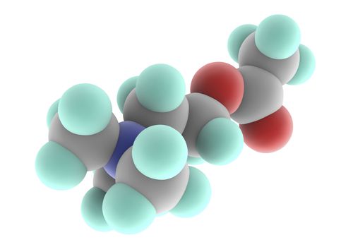 Acetylcholine molecule