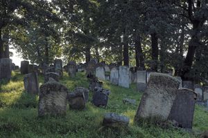 一幅墓地的图像