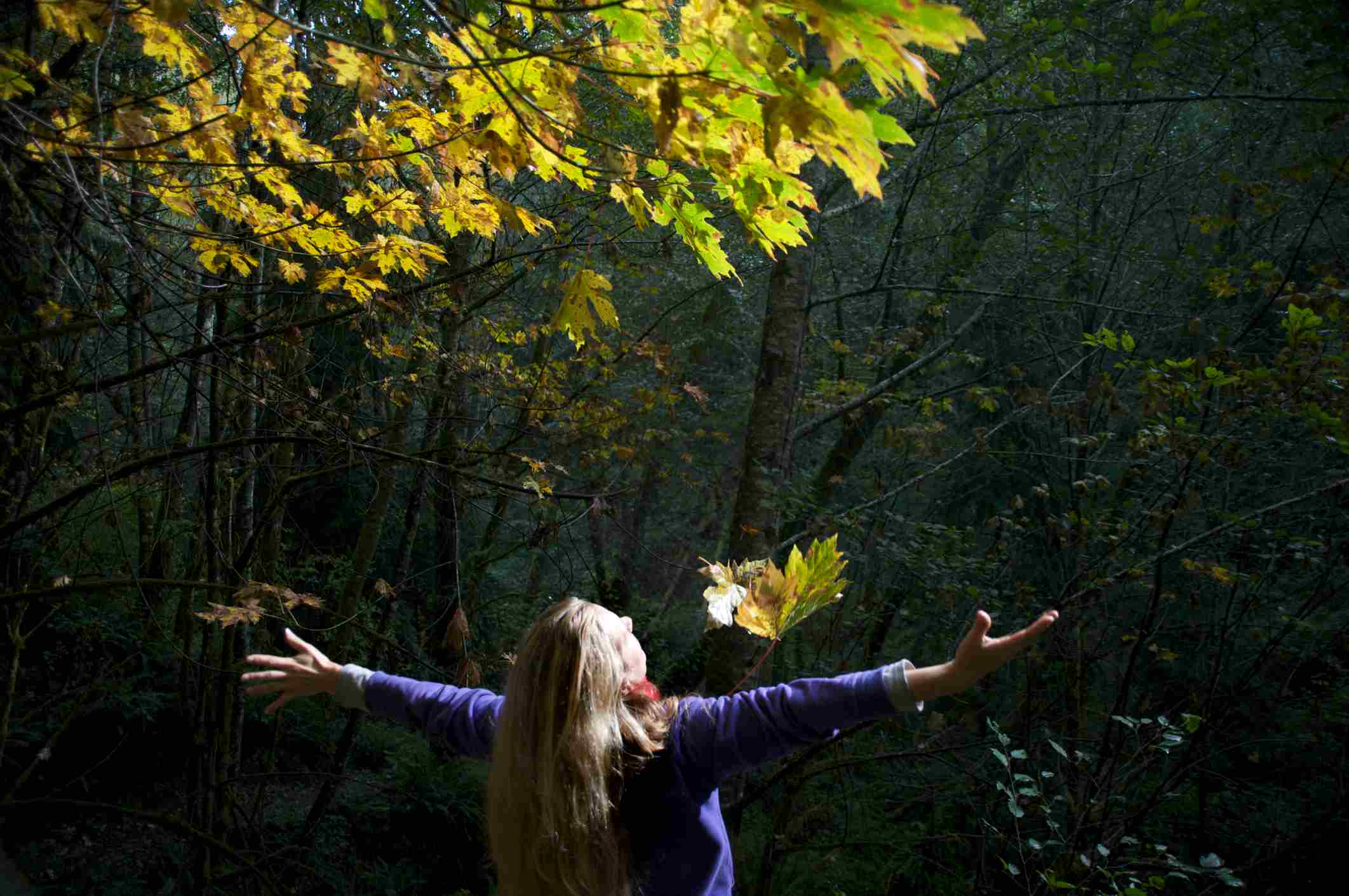 woman with arms spread in the forst