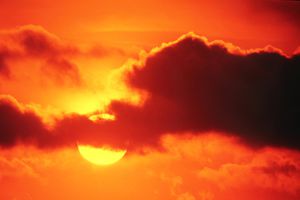 橙色的色彩心理万博maxbetx官网登陆