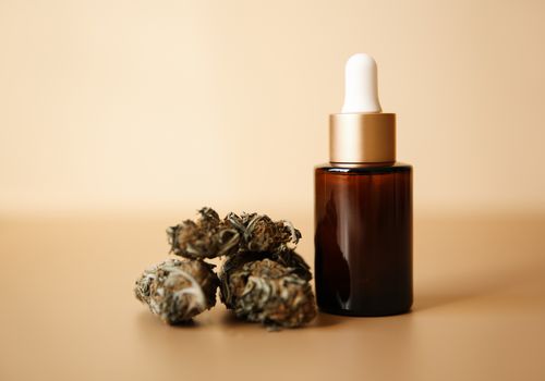 在大麻花旁边的CBD油瓶在米黄背景