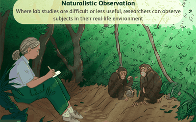 What is naturalistic observation?