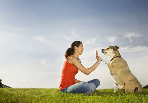 woman giving a high five to a dog