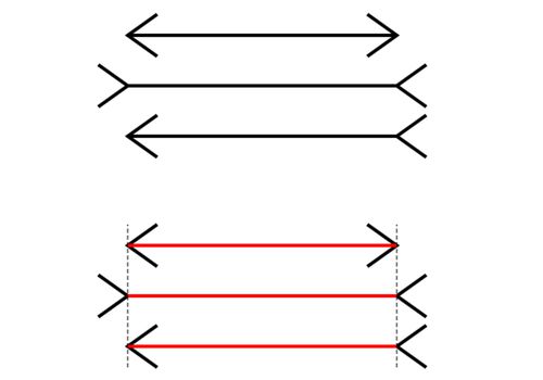 Illustration of the Muller-Lyer Illusion