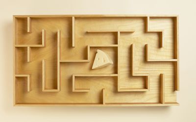 在木迷宫中间的奶酪