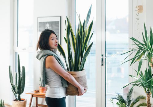 A woman with a content smile carries a large houseplant into her home.