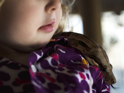一个小女孩抱着一条蛇