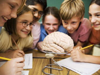 探索人类的思想