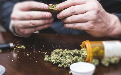 医用大麻“class=