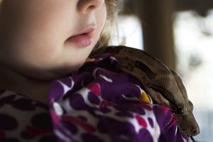 一个小女孩抱着一条蛇