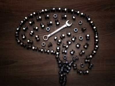 大脑更小的部分