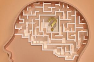 代表启发式或心理捷径的大脑迷宫