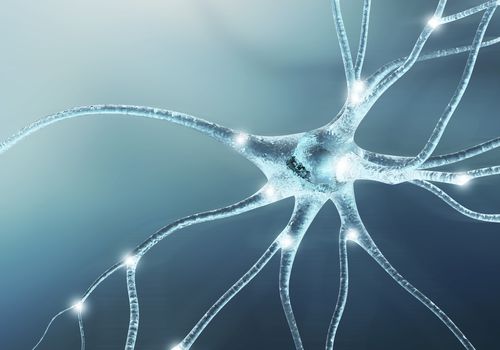 neuron lighting up