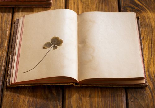 luck journal