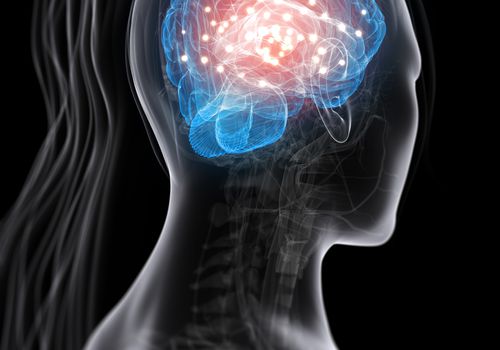 Brain Activity, conceptual computer artwork